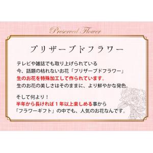 プロポーズ ダイヤモンドローズ in ドロワー...の詳細画像1