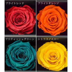 プロポーズ ダイヤモンドローズ in ドロワー...の詳細画像5