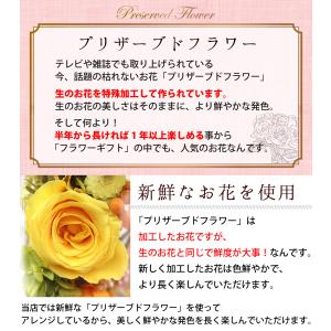 プリザーブドフラワー ボトルフラワー バラギフ...の詳細画像2