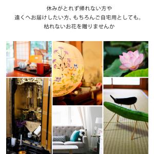 仏花 お供え お悔やみ ボトルフラワー と4種...の詳細画像2
