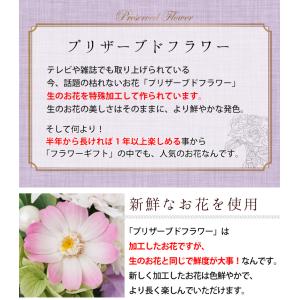 仏花 プリザーブドフラワー お供えドーム 想花...の詳細画像3