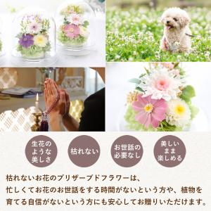 お供え お悔み プリザーブドフラワー 仏花 ガ...の詳細画像3