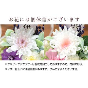 仏花 プリザーブドフラワー お供えドーム 想花...の詳細画像4