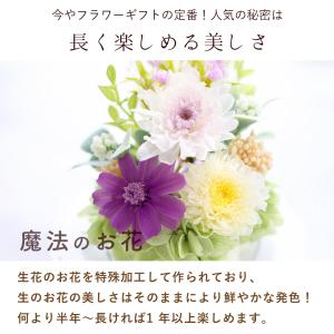 お供え お悔み プリザーブドフラワー 仏花 ガ...の詳細画像4