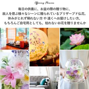 お供え お悔み プリザーブドフラワー 仏花 ガ...の詳細画像1