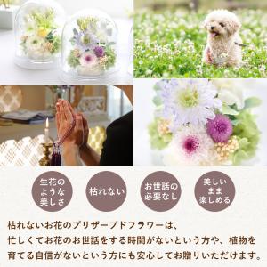 お供え お悔み プリザーブドフラワー 仏花 ガ...の詳細画像3