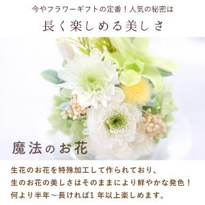 お供え お悔み プリザーブドフラワー 仏花 ガ...の詳細画像4