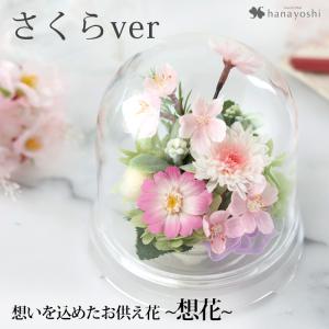 春限定 newさくらver 仏花 桜 プリザーブドフラワー お供えドーム 想花 クリアドーム 仏壇用 お悔やみ 花 贈り物 法事 一周忌 三回忌 命日 ブリザードフラワー