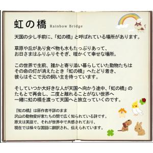 ペットのお供え アンシェール お供え プリザー...の詳細画像4