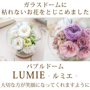 プリザーブドフラワー ガラスドーム バブルドー...の詳細画像1
