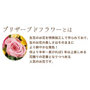 プリザーブドフラワー 和風 くつろぎねこ 7種...の詳細画像1