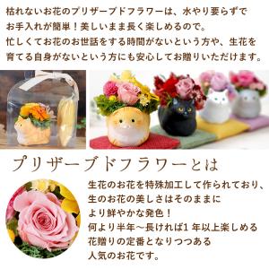 プリザーブドフラワー 和風 くつろぎねこ 7種...の詳細画像2