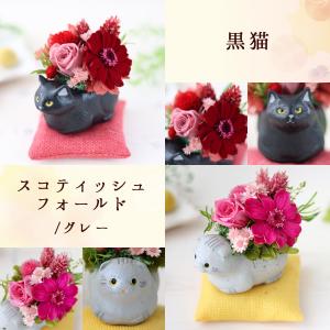 プリザーブドフラワー 和風 くつろぎねこ 7種...の詳細画像4