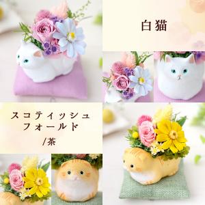 プリザーブドフラワー 和風 くつろぎねこ 7種...の詳細画像5