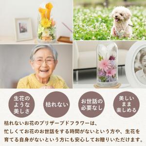 仏花 プリザーブドフラワー 仏壇用 お供え 花...の詳細画像3