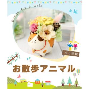 プリザーブドフラワー お散歩アニマル 6種類 ...の詳細画像1