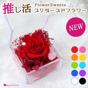 ハーバリウム ピュアローズ (ネコ瓶100ml) 5カラー Pure Rose 観葉植物