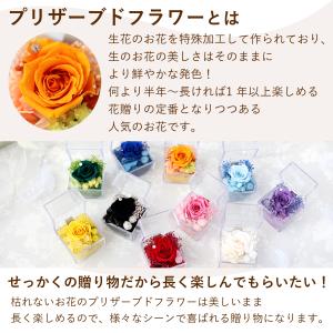 同梱OK 推し活 推しカラー ラインストーンが...の詳細画像2