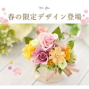 プリザーブドフラワー Colore コローレ ...の詳細画像1
