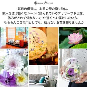 仏花 プリザーブドフラワー お供えドーム 慈音...の詳細画像2