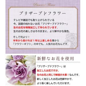 仏花 プリザーブドフラワー お供えドーム 慈音...の詳細画像4