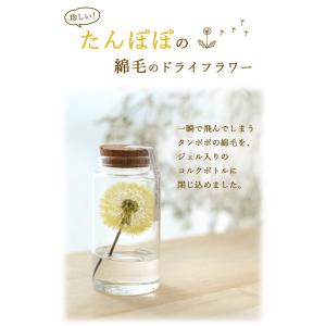 ドライフラワー ふわふわたんぽぽミニボトル 枯...の詳細画像1