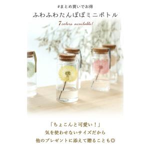 ドライフラワー ふわふわたんぽぽミニボトル 枯...の詳細画像2