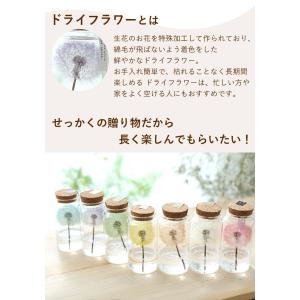 ドライフラワー ふわふわたんぽぽミニボトル 枯...の詳細画像4