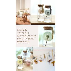 ドライフラワー ふわふわたんぽぽミニボトル 枯...の詳細画像5
