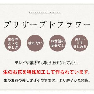 送料無料 お供え 仏花 プリザーブドフラワー ...の詳細画像2