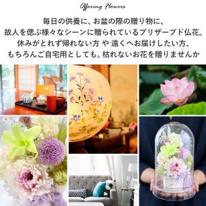 お供え お悔み プリザーブドフラワー 仏花 ガ...の詳細画像1