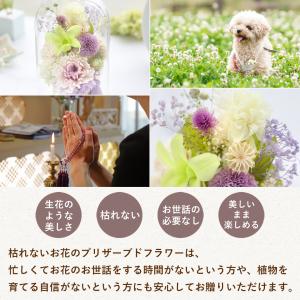 お供え お悔み プリザーブドフラワー 仏花 ガ...の詳細画像3