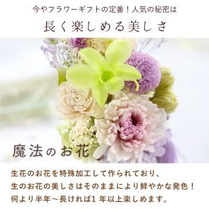 お供え お悔み プリザーブドフラワー 仏花 ガ...の詳細画像4