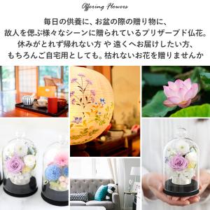 仏花 プリザーブドフラワー 仏壇用 お供え 花...の詳細画像2