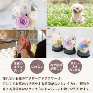仏花 プリザーブドフラワー 仏壇用 お供え 花...の詳細画像4