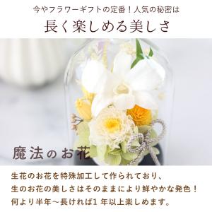 仏花 プリザーブドフラワー 仏壇用 お供え 花...の詳細画像5