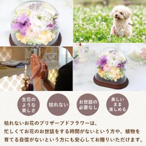 仏花 プリザーブドフラワー 仏壇用 お供え 花...の詳細画像4