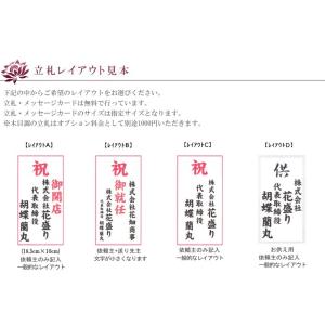 胡蝶蘭 5本立ち 60輪以上保証(蕾含む)コチ...の詳細画像5