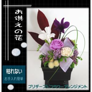 仏花 プリザーブドフラワー 仏壇用 デンファレ 高さ２０cm ケース付き お供え ペット供養 一周忌 お彼岸 法事 枯れない供花 wabi