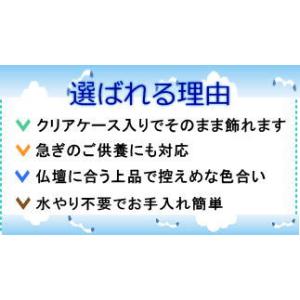 仏花 プリザーブドフラワー 仏壇用 デンファレ...の詳細画像1