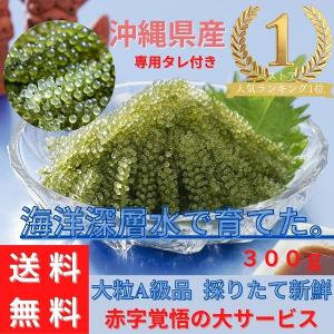 送料無料 海ぶどう 沖縄県産 海ぶどう 専用タレ付き【300g】 A級品大粒 海洋深層水で育てた 高品質 ポイント消化 食品 おすすめ