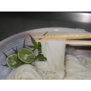 半田 そうめん 4.0kg30束 半田乃糸 素...の詳細画像1