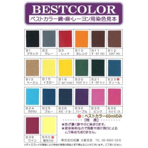 染料 布 ベストカラーミニ 30ml 液体染料...の詳細画像1
