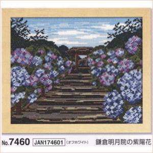 鎌倉明月院の紫陽花 7460 日本の名所第3弾 オリムパス