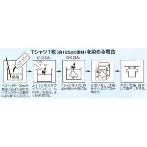 低温染色助剤 ベストコールドミニ 60g (T...の詳細画像1