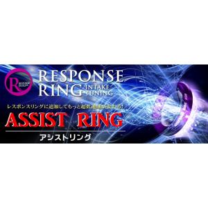 siecle シエクル  アシストリング RAV4ハイブリッド MXAH52,54 RR15TP
