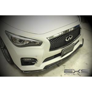 アクセス・エボリューション EXS EXCLUSIVE SPORT フロントリップ