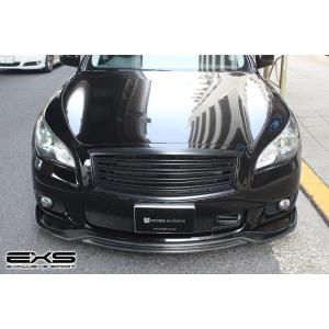 アクセス・エボリューション EXS EXCLUSIVE SPORT フロント
