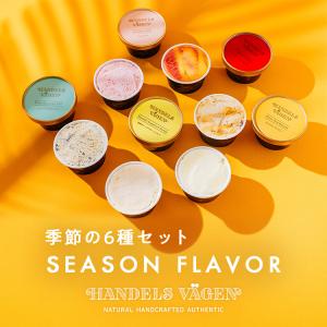 送料無料 アイスクリーム 詰め合わせ ギフト アイス  お取り寄せ ハンデルスベーゲン 季節限定 6個セット お祝い スイーツ  内祝い ご褒美