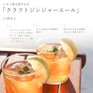ジンジャーレモンルイボスティー 2.0g×30...の詳細画像4